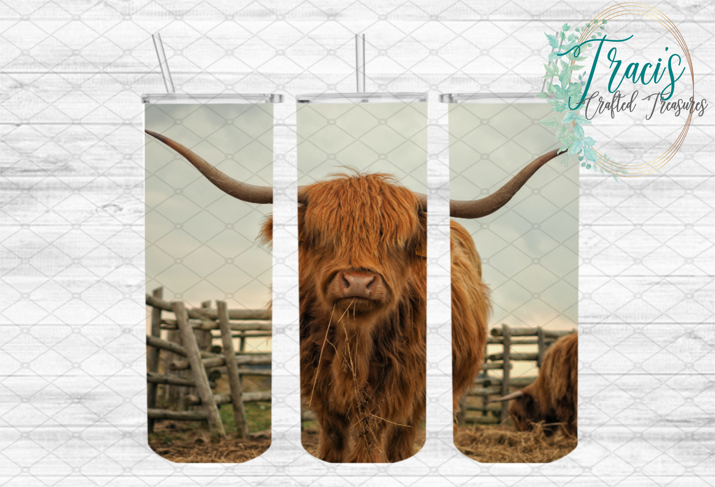Long Horn Cow